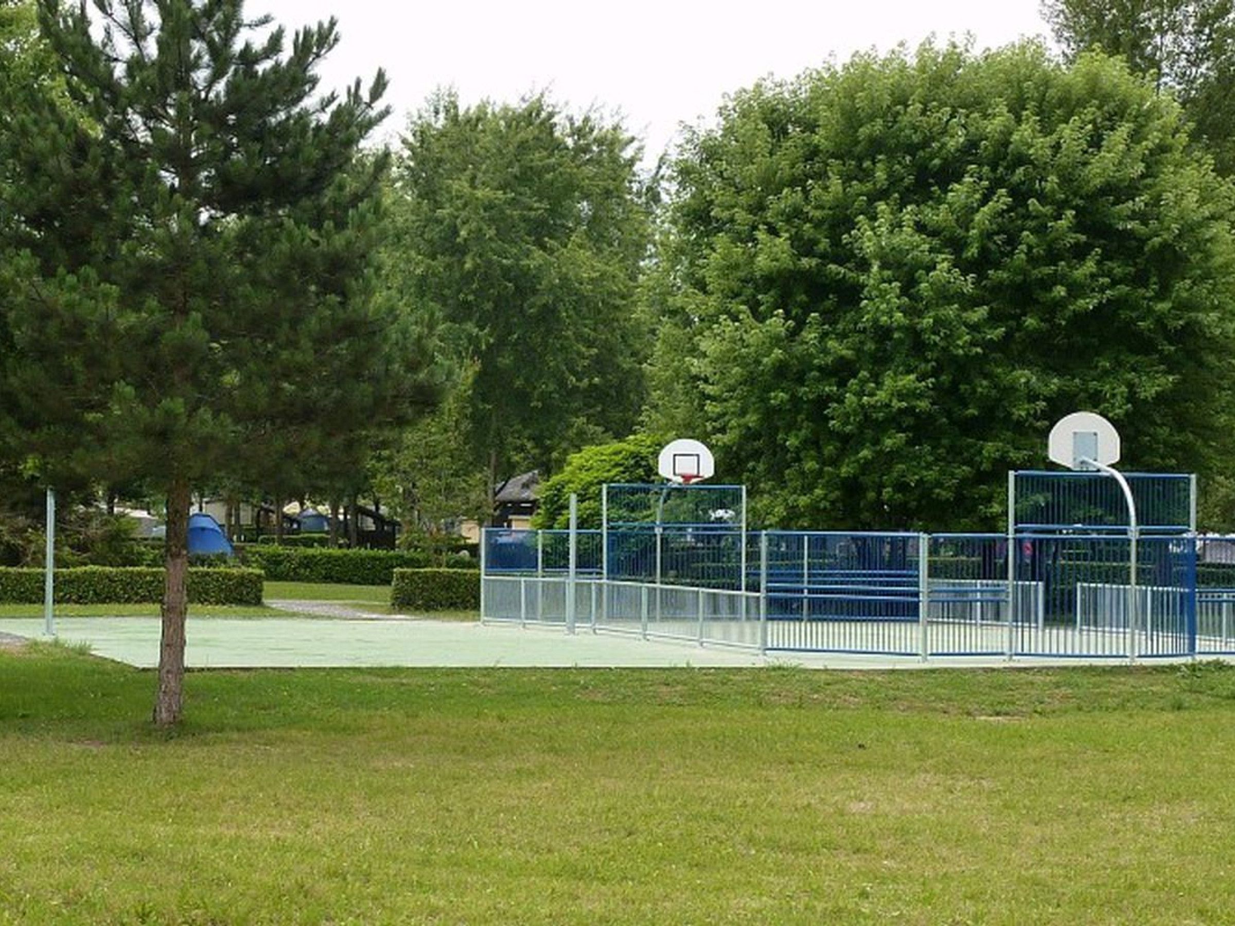 Sportveld