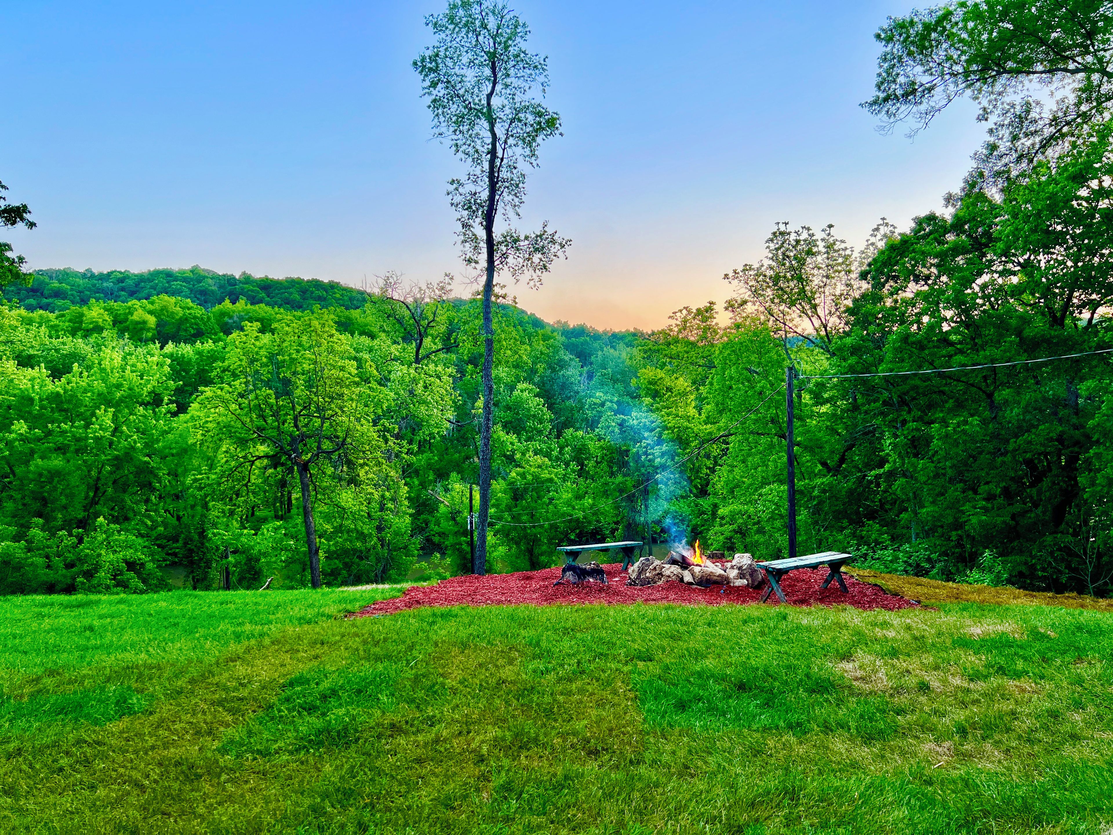 A campfire with a metal grill and a bench in a grassy field surrounded by trees.