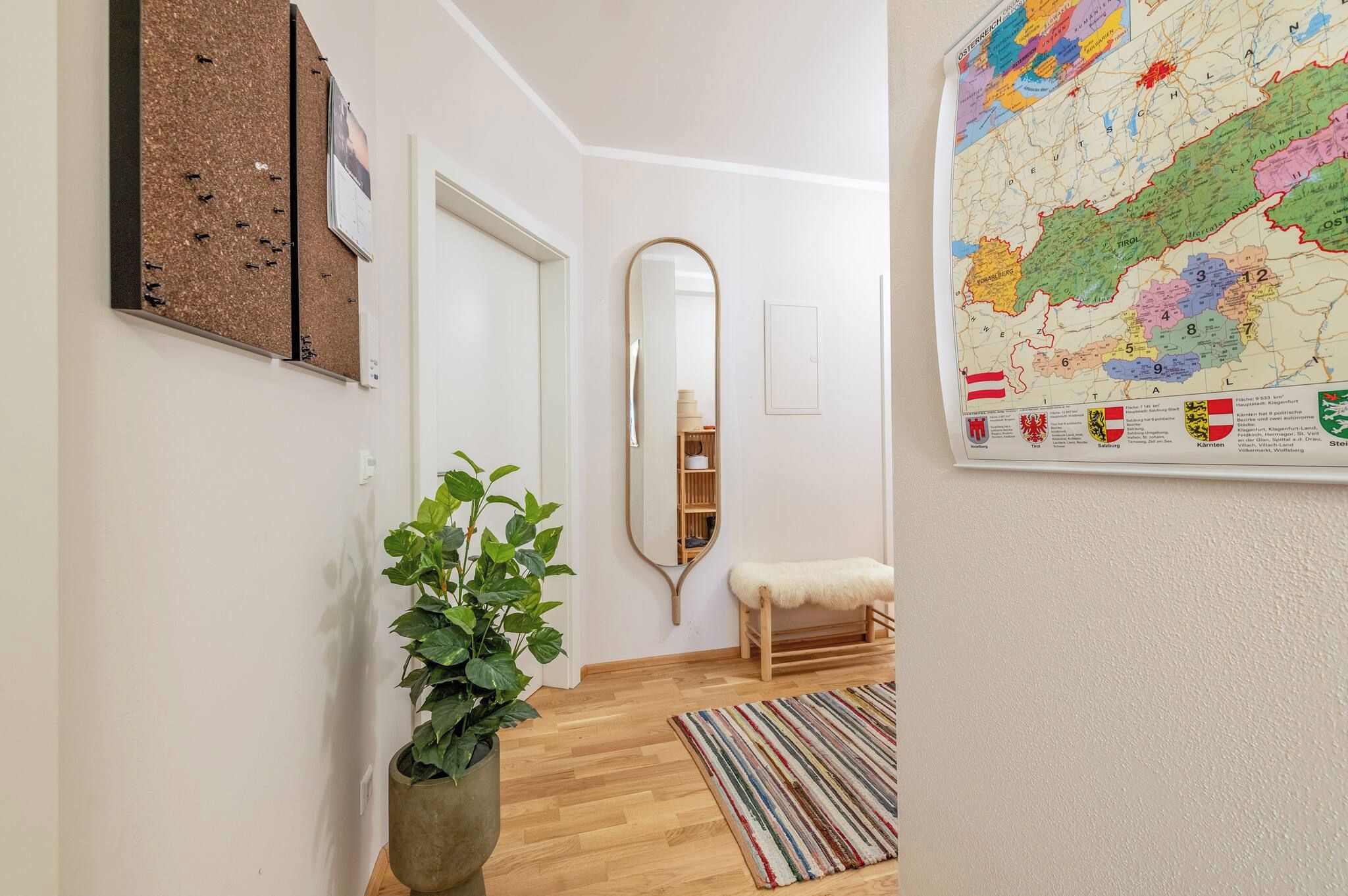 A hallway with a wooden floor, a mirror, a potted plant, a striped rug, and a map on the wall.
