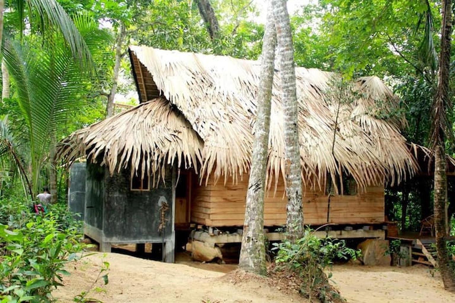 Una estructura rústica de madera con techo de paja, rodeada de densa vegetación tropical.