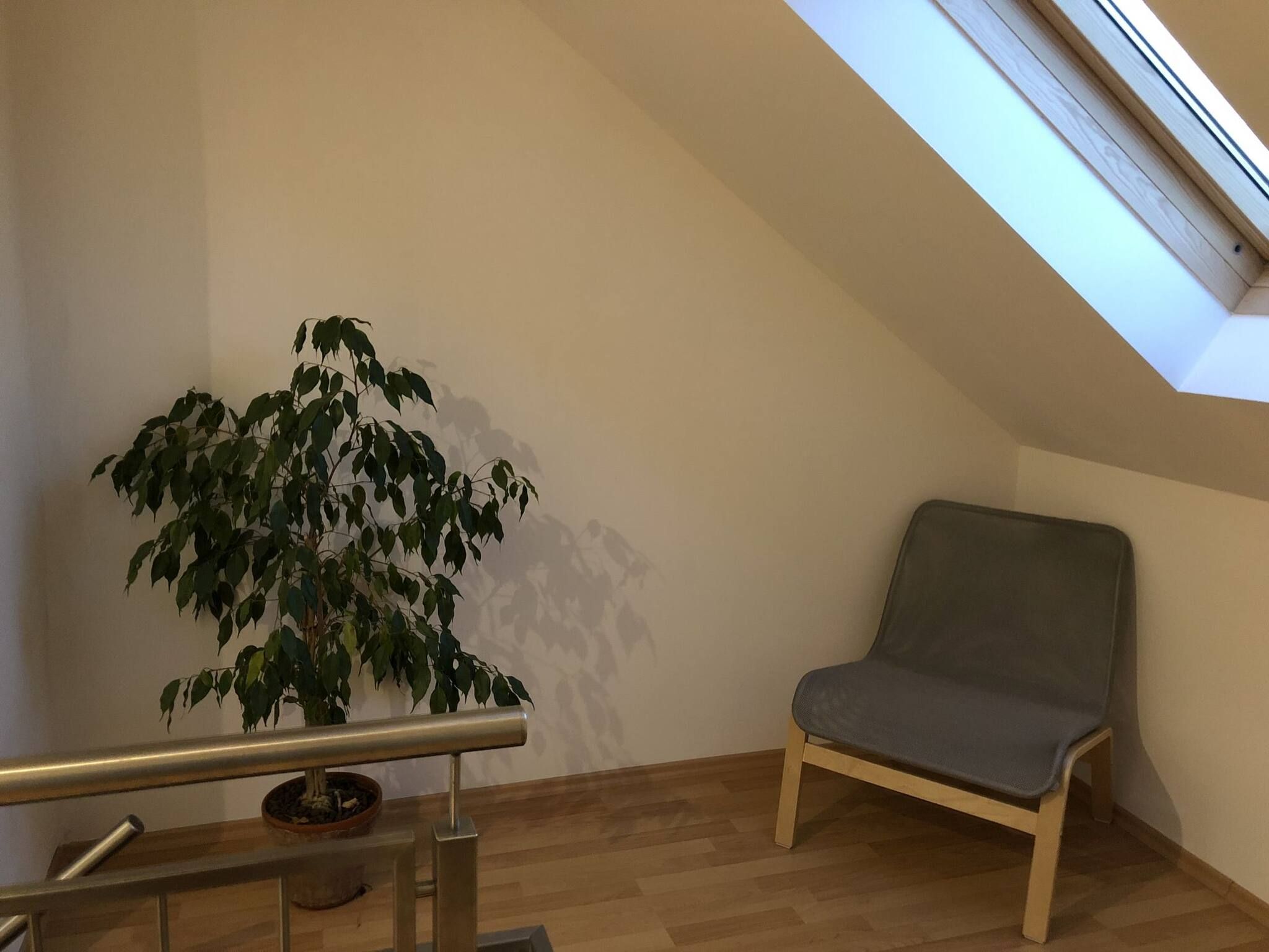 A room with a skylight, a potted plant, and a grey chair.
