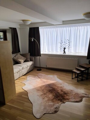 Ein modernes Wohnzimmer mit einer Couch, einem Heizkörper, einem Tisch, einer Lampe und einem großen Teppich.
