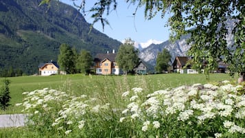 Ländliche Landschaft mit Häusern, einem Berg im Hintergrund und einem Feld voller weißer Blumen.