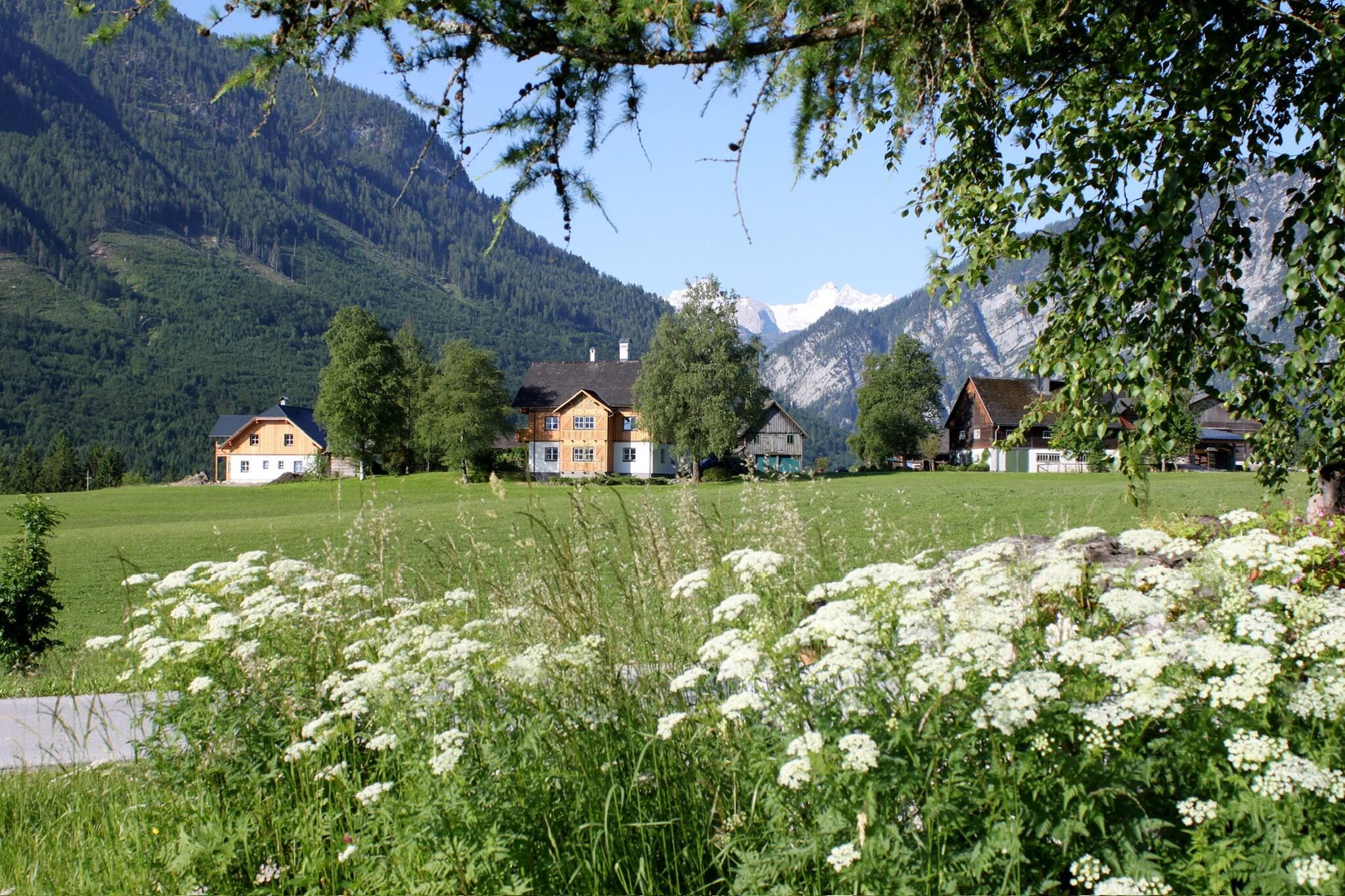 Ländliche Landschaft mit Häusern, einem Berg im Hintergrund und einem Feld voller weißer Blumen.