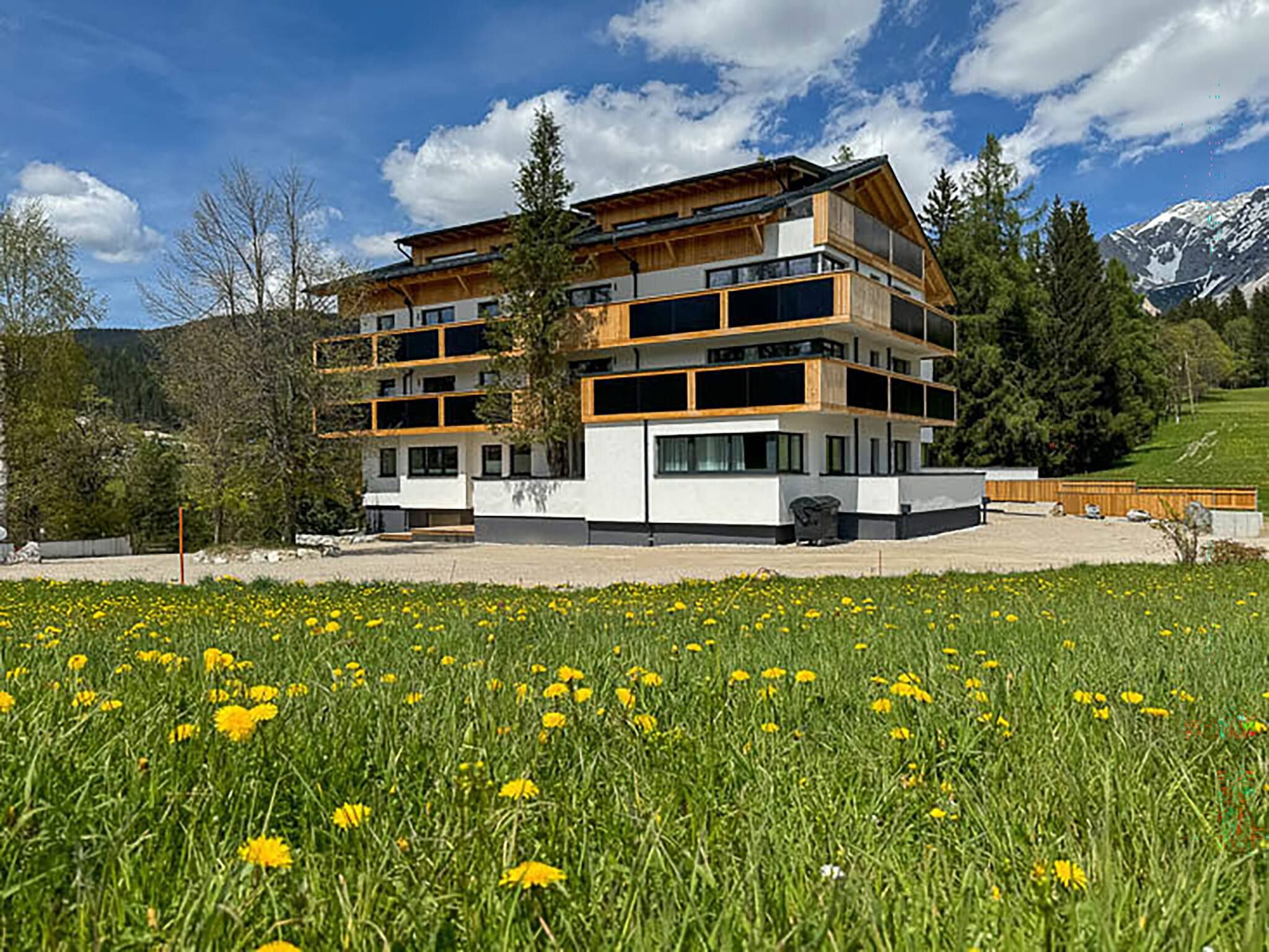 A multi-story building with a modern design, surrounded by a field of yellow flowers and a mountainous backdrop.