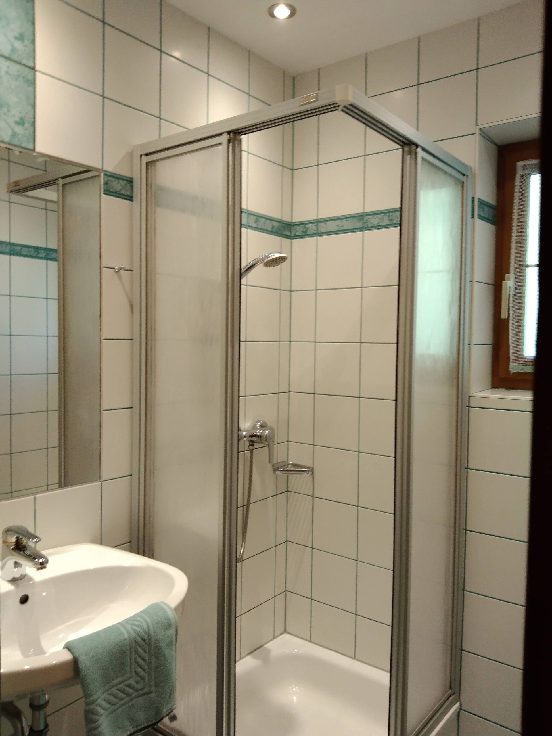 Un baño con ducha envuelta en vidrio, un lavabo y un espejo.