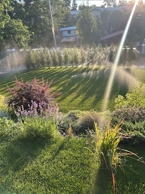 Un jardin bien entretenu, avec une pelouse, divers arbustes et plantes à fleurs.