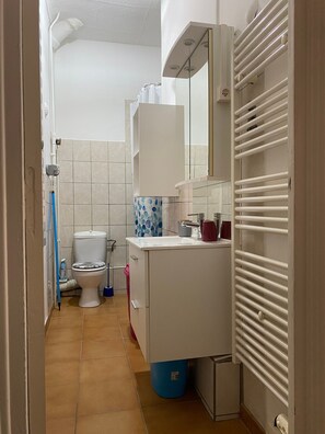 Et lille badeværelse med toilet, vask og spejl.