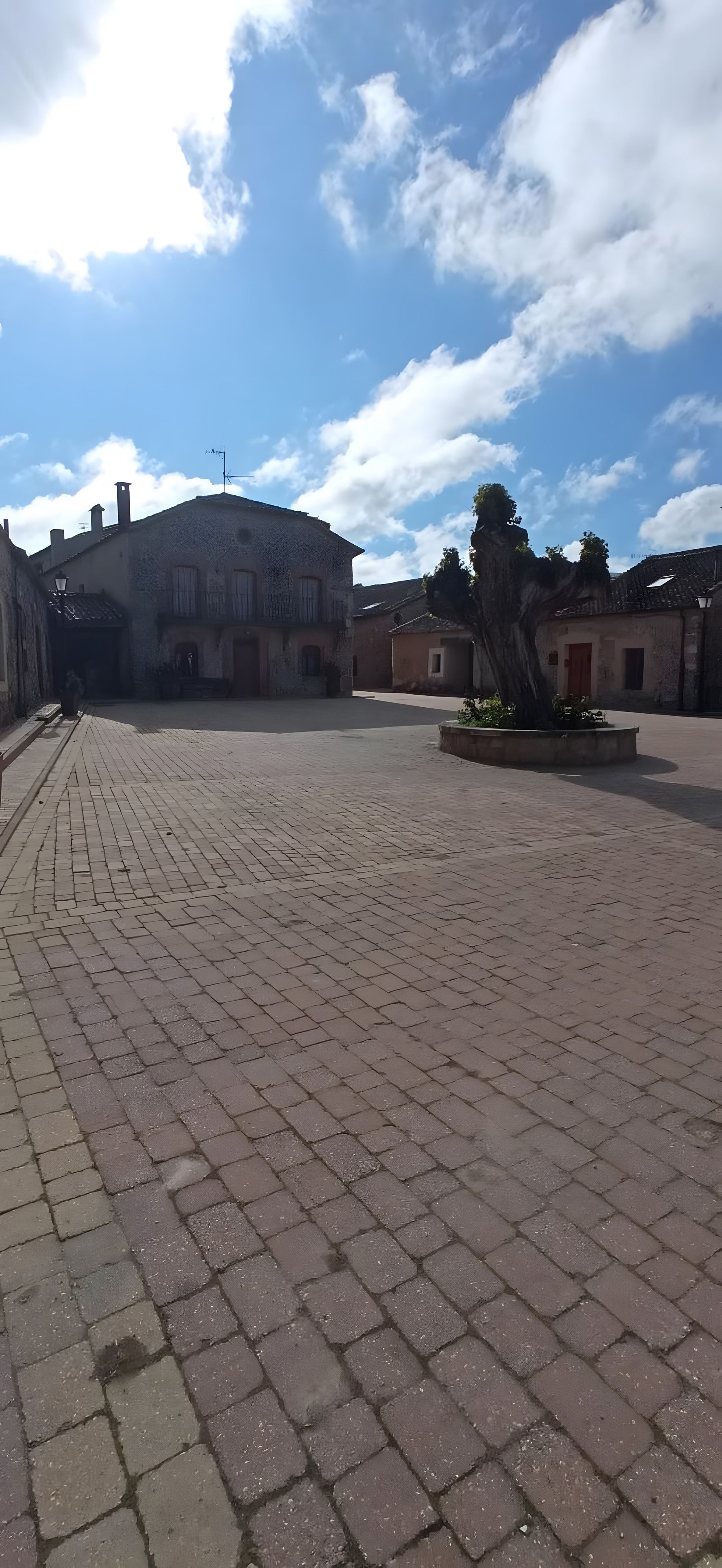 Een geplaveid erf met gebouwen, een boom en een heldere lucht.