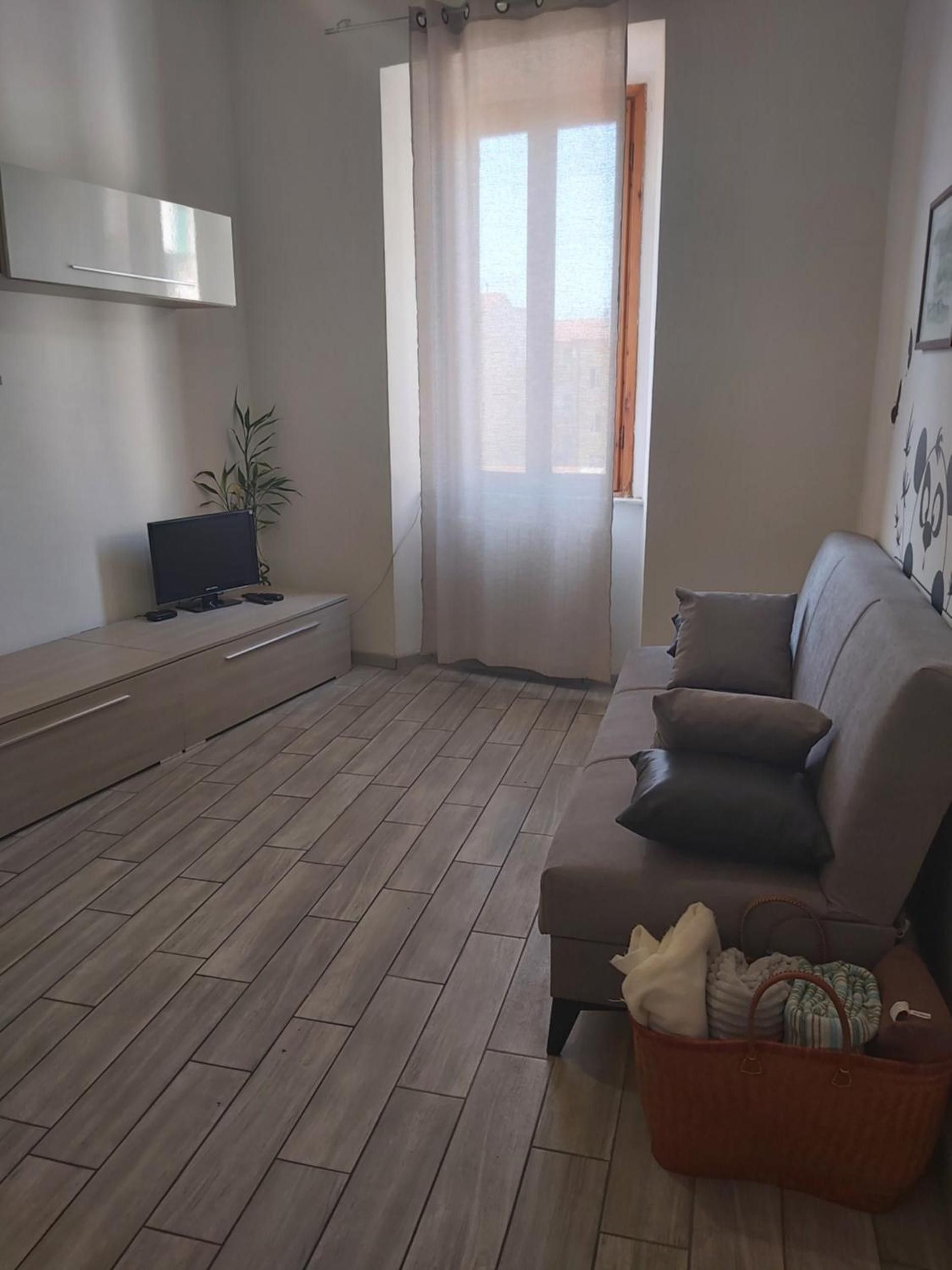 Un salon moderne avec un canapé, un téléviseur et une plante.