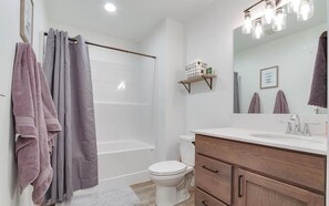 Bathroom - 3 bedroom Mountain Retreat with hottub, sauna. 25 minutes from Rainer/Whitepass (Packwood)