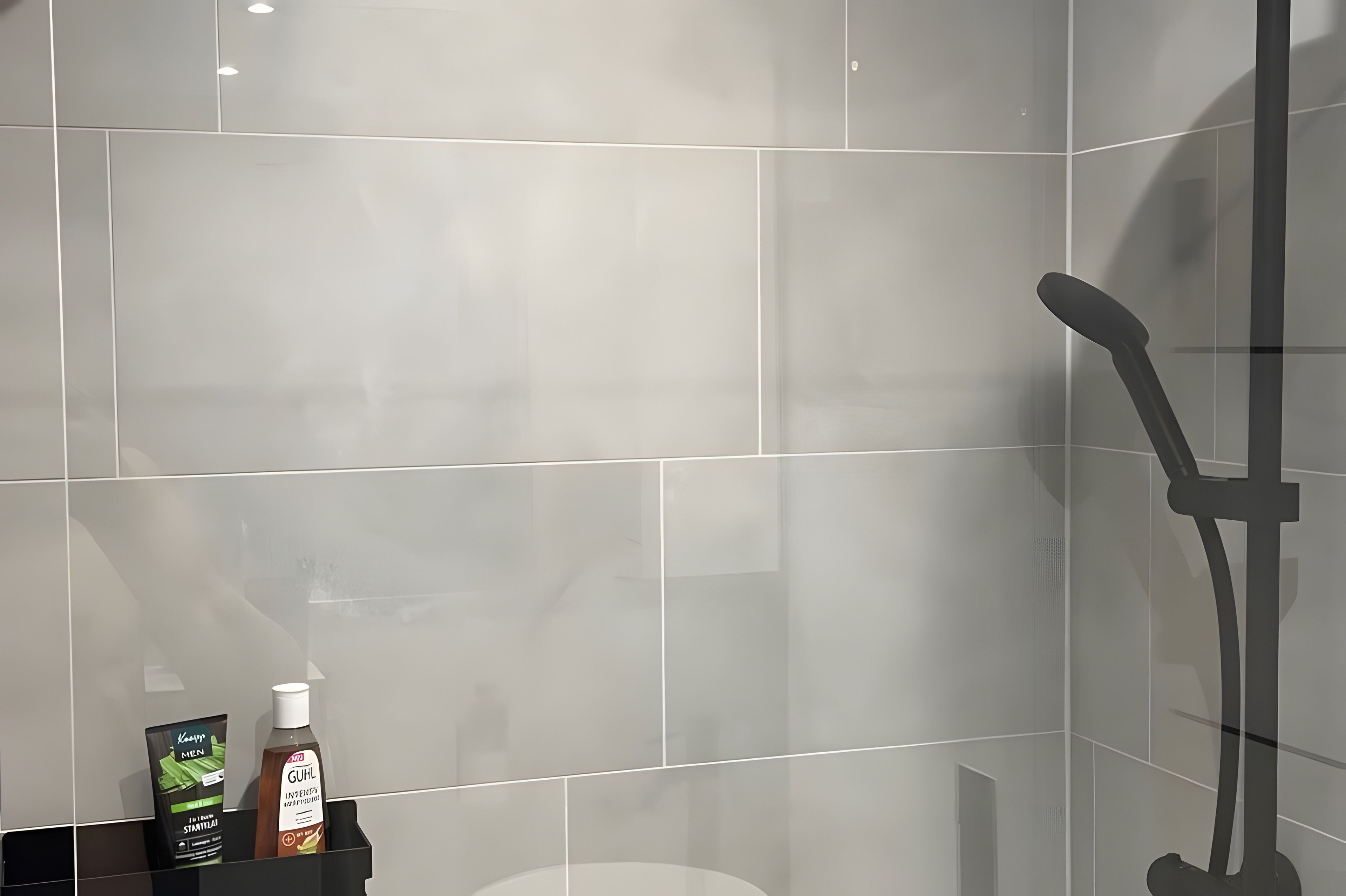 Ein modernes Badezimmer mit einer Duschkabine aus Glas, einer Handbrause und einer Shampoo-Flasche auf einem Regal.