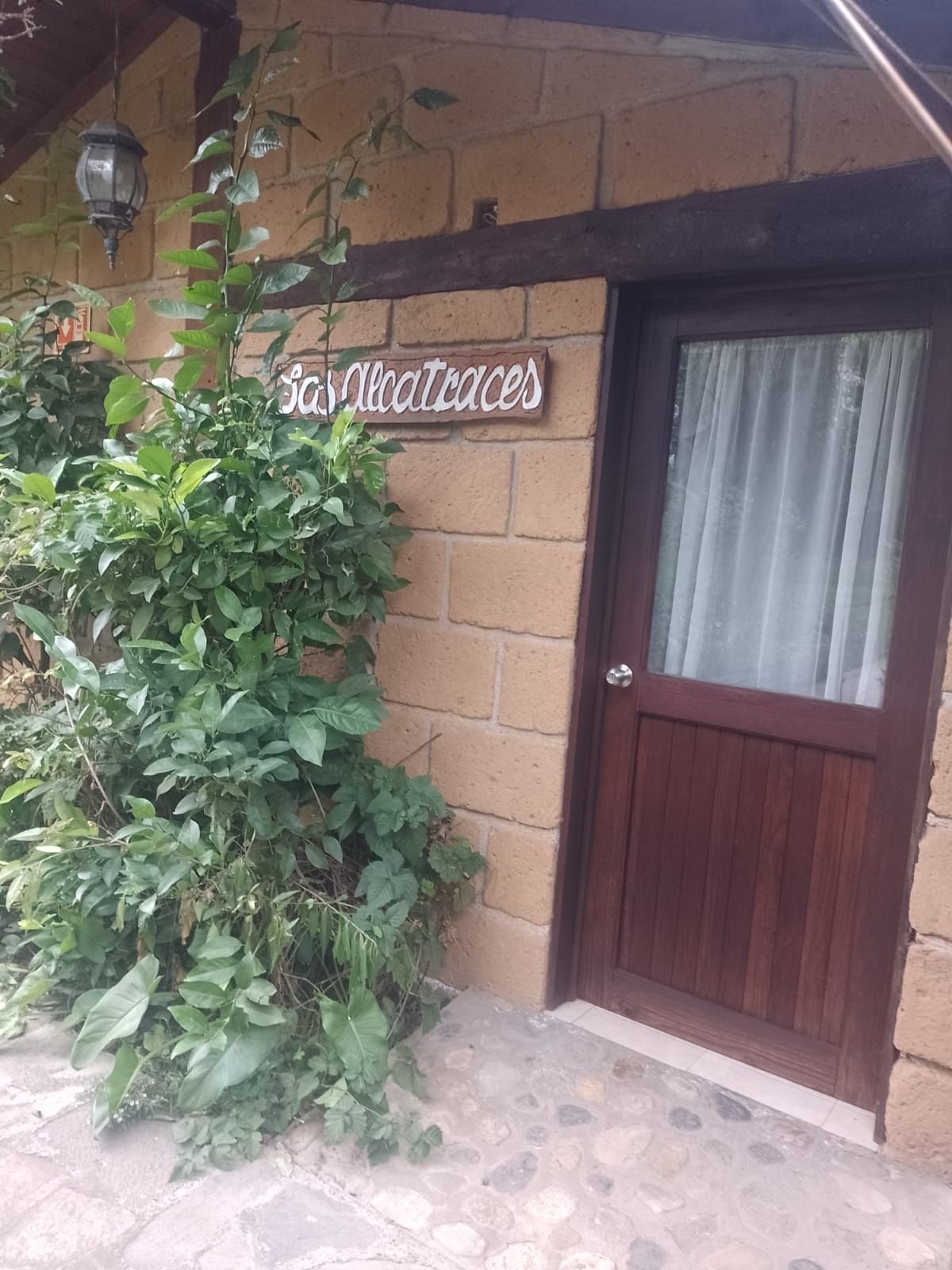 A brick wall with a wooden door and a sign that reads 'Sas Alcazares.'