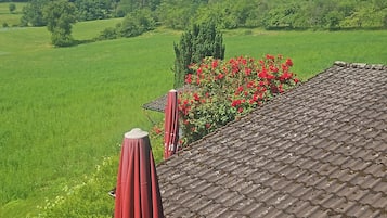 Una terraza con vista a un campo verde y una colina, una sombrilla roja y una mesa con sillas.