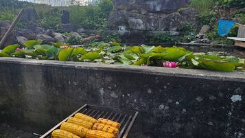 Una parrilla con mazorcas de maíz sobre una superficie de concreto, rodeada de lirios de agua y una formación rocosa.