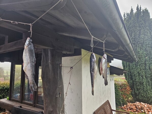 Três peixes pendurados em uma estrutura de madeira ao ar livre.