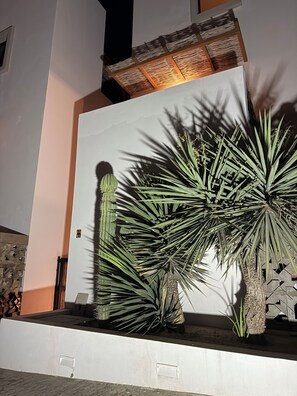 Cactus i plantes de palmera en una jardiniera davant d'una paret amb un disseny geomètric.