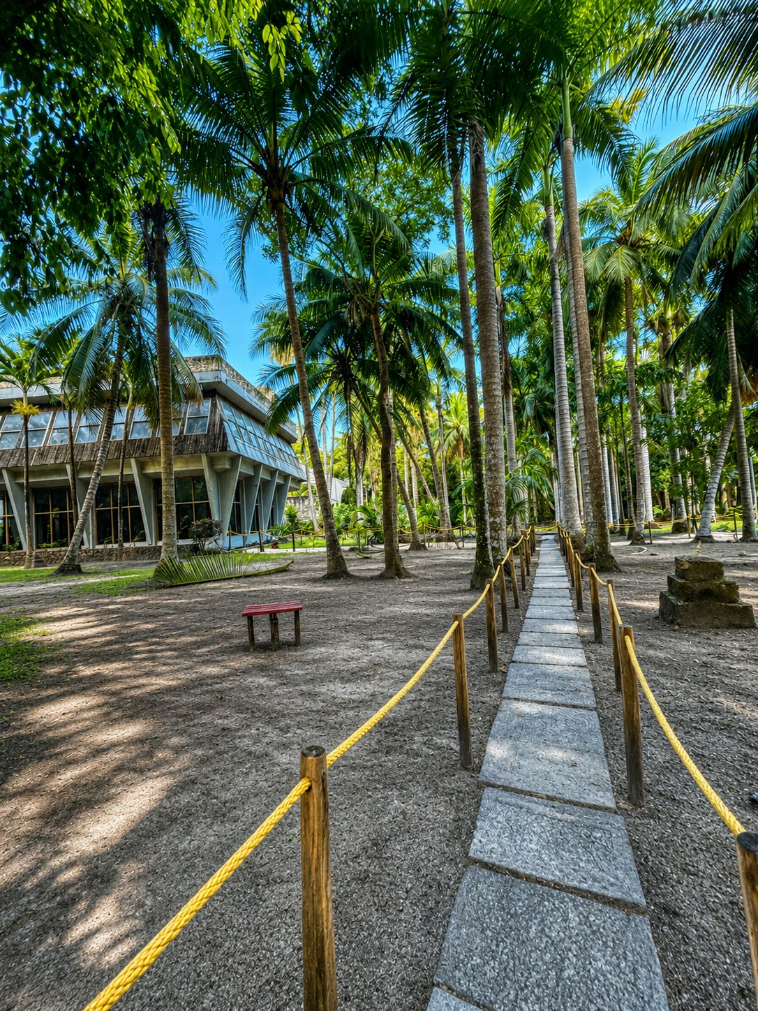 Un sendero bordeado por palmeras que conduce a un edificio de diseño moderno.
