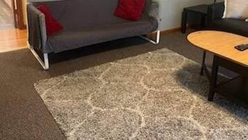 A living room with a grey sofa, a wooden coffee table, and a patterned rug.