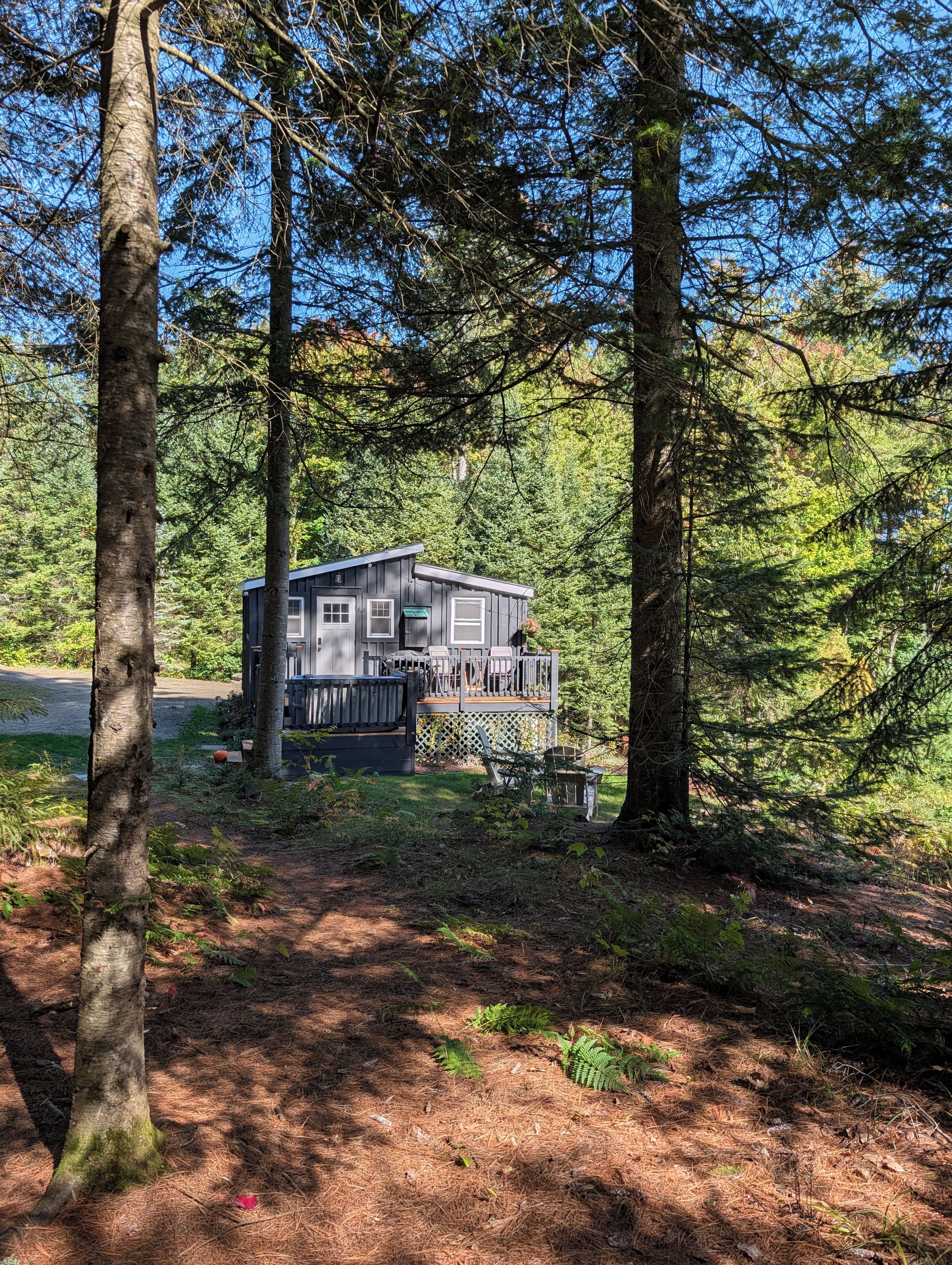 A cabin with a deck, surrounded by dense forest.
