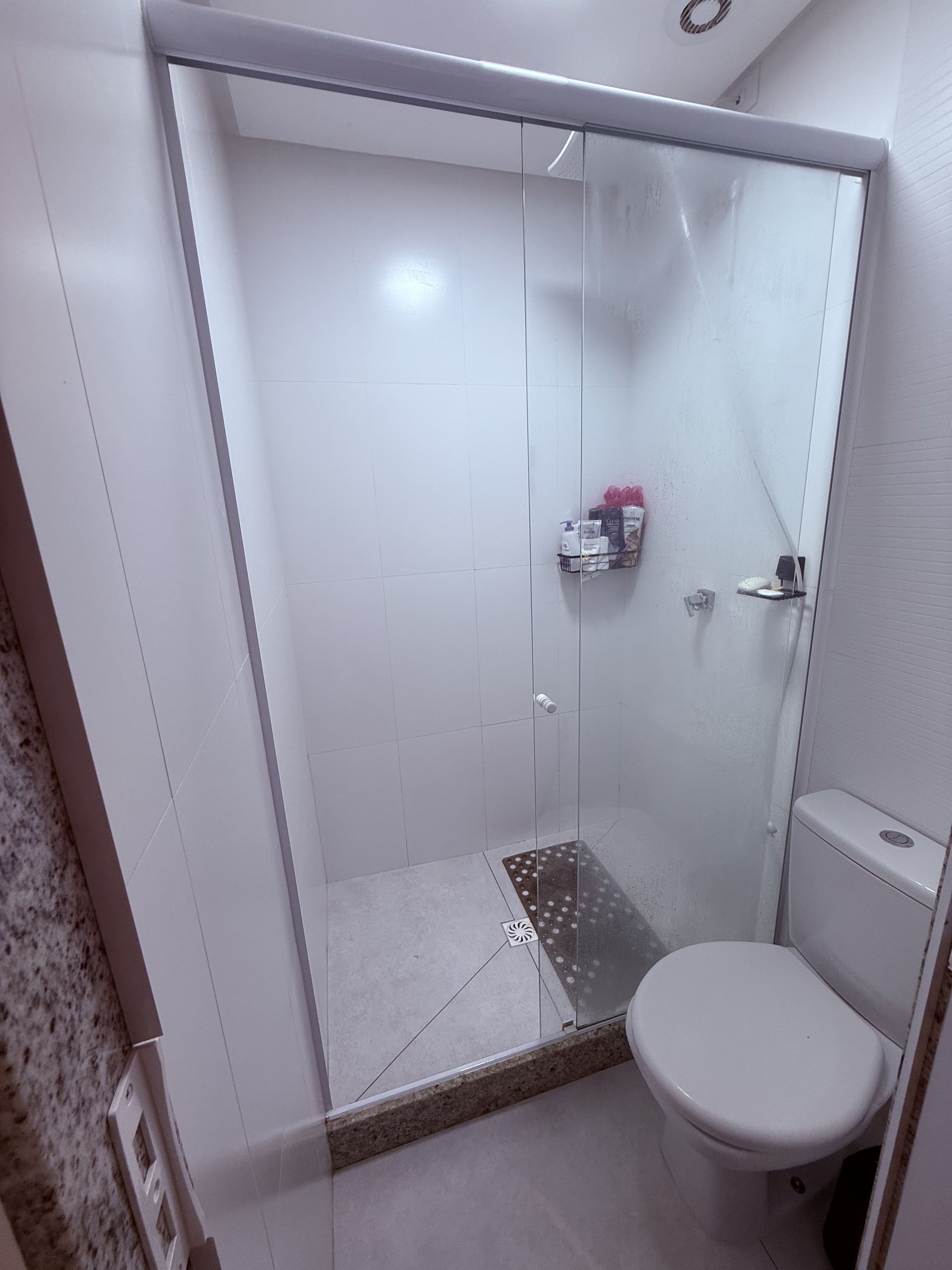 A bathroom with a glass-enclosed shower, a toilet, and a shelf with toiletries.