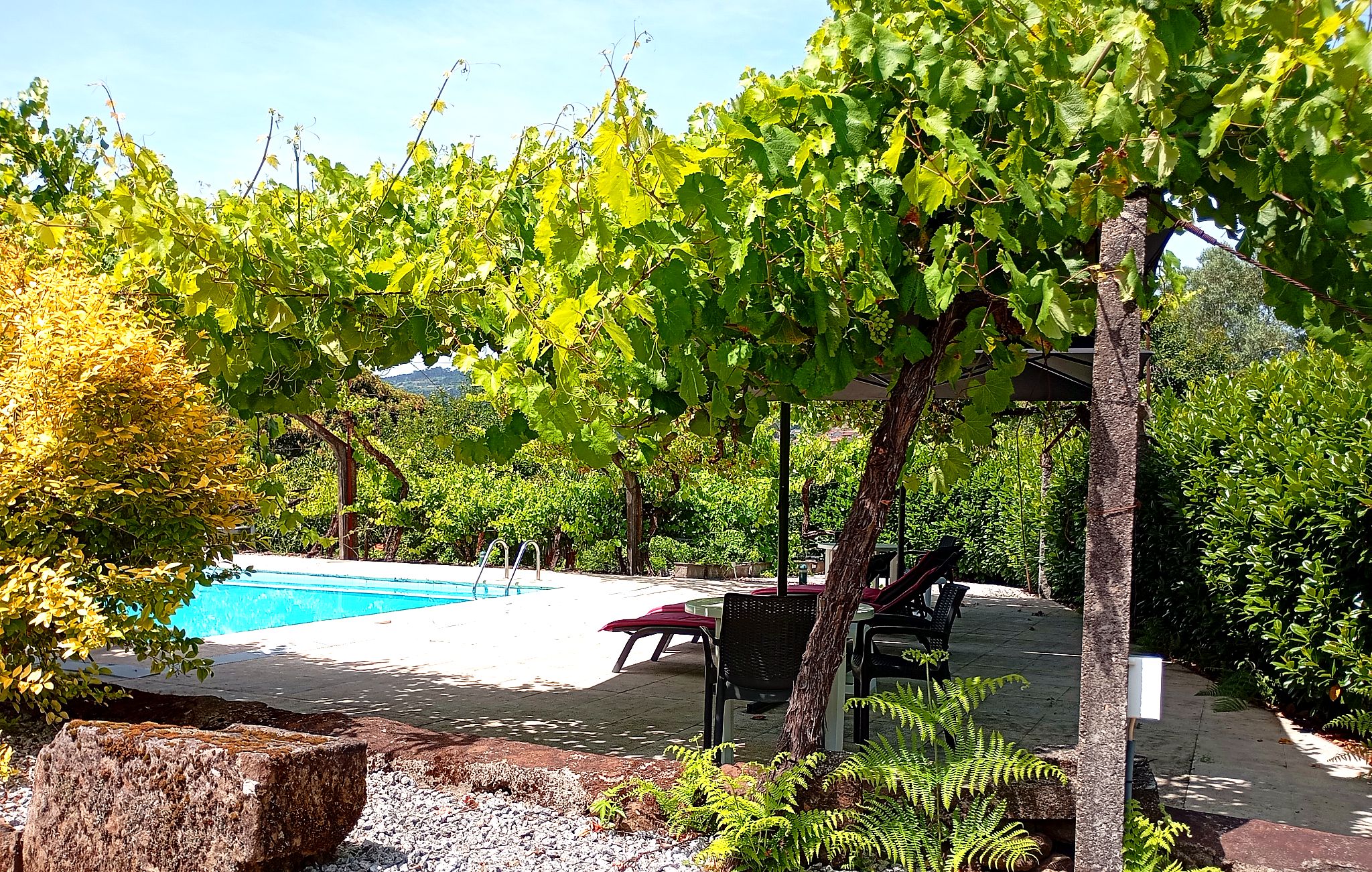 Zona de piscina con pérgola, asientos y vistas a un viñedo.