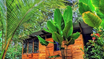 Una cabaña de madera rodeada de exuberante vegetación y un cielo despejado.