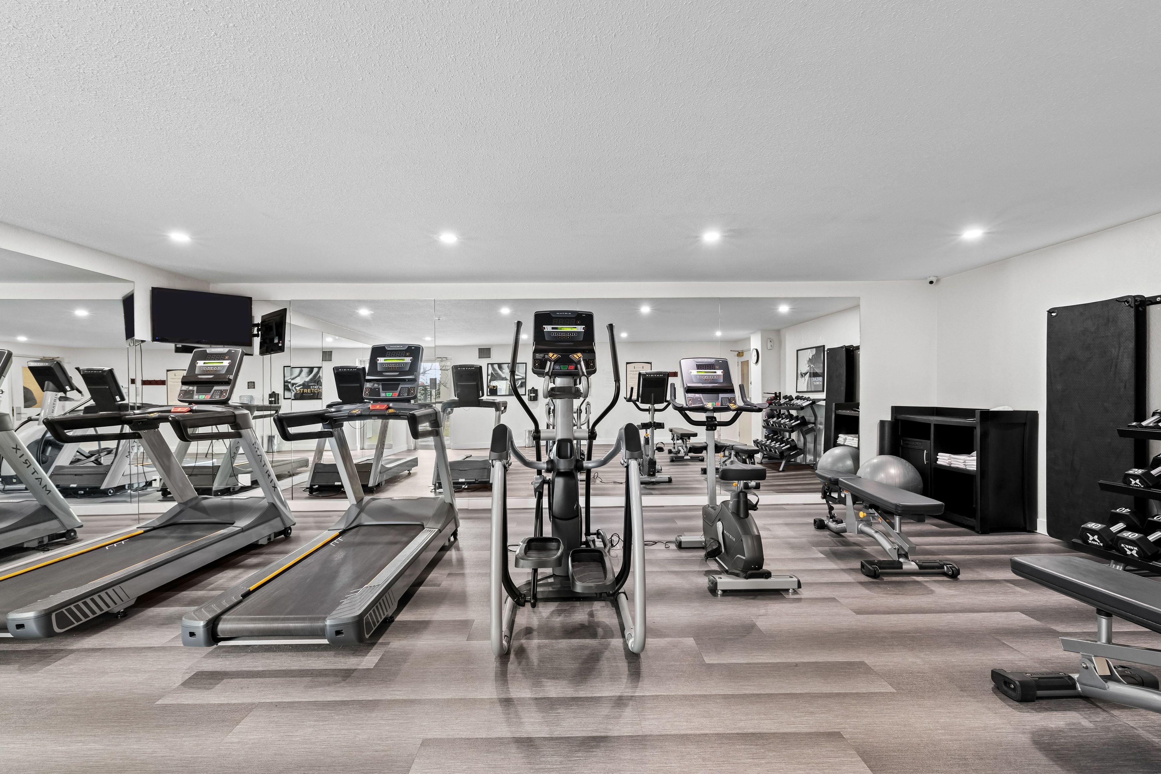 A modern gym with various cardio machines, free weights, and exercise equipment.