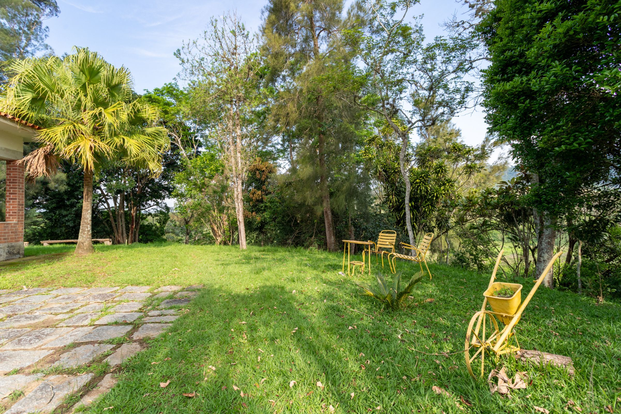 Ein Garten mit einem Kiesweg, einer Palme und einem gelben Schubkarren.