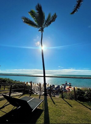 Uitzicht op het strand met een palmboom, zon en heldere lucht.