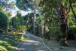 A paved pathway winding through a lush garden with various trees and shrubs. - New Listing (Cannes)