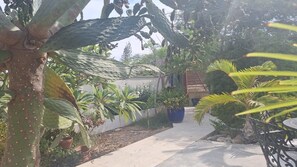 Un chemin menant à un bâtiment doté d’un jardin agrémenté de diverses plantes et d’un palmier.