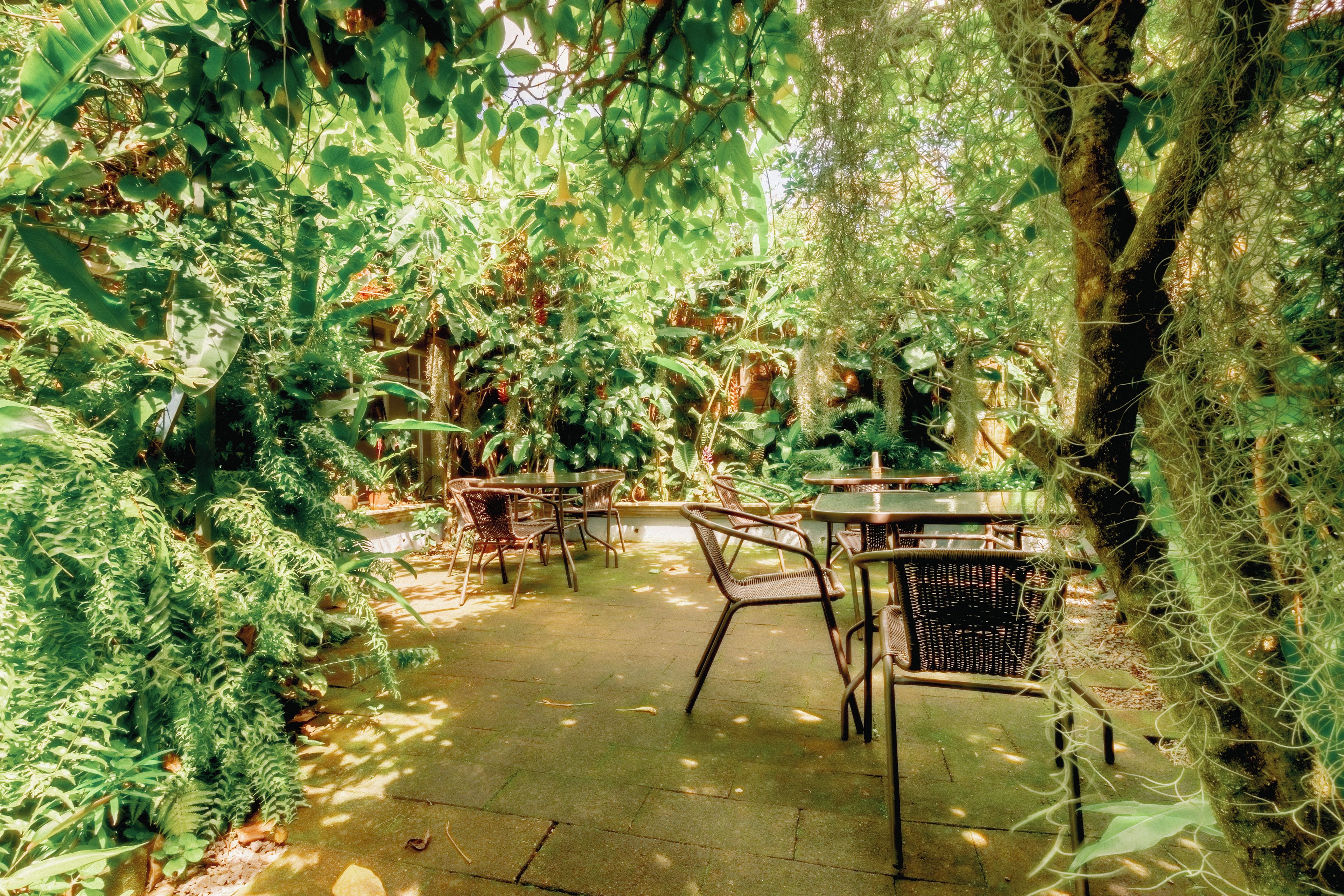 An outdoor patio area with tables and chairs surrounded by dense foliage and trees.