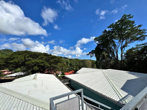 Un toit-terrasse recouvert de métal, entouré d’une végétation luxuriante et surplombant un ciel bleu dégagé.