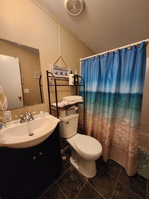 Une salle de bain avec un lavabo, des toilettes et un rideau de douche.