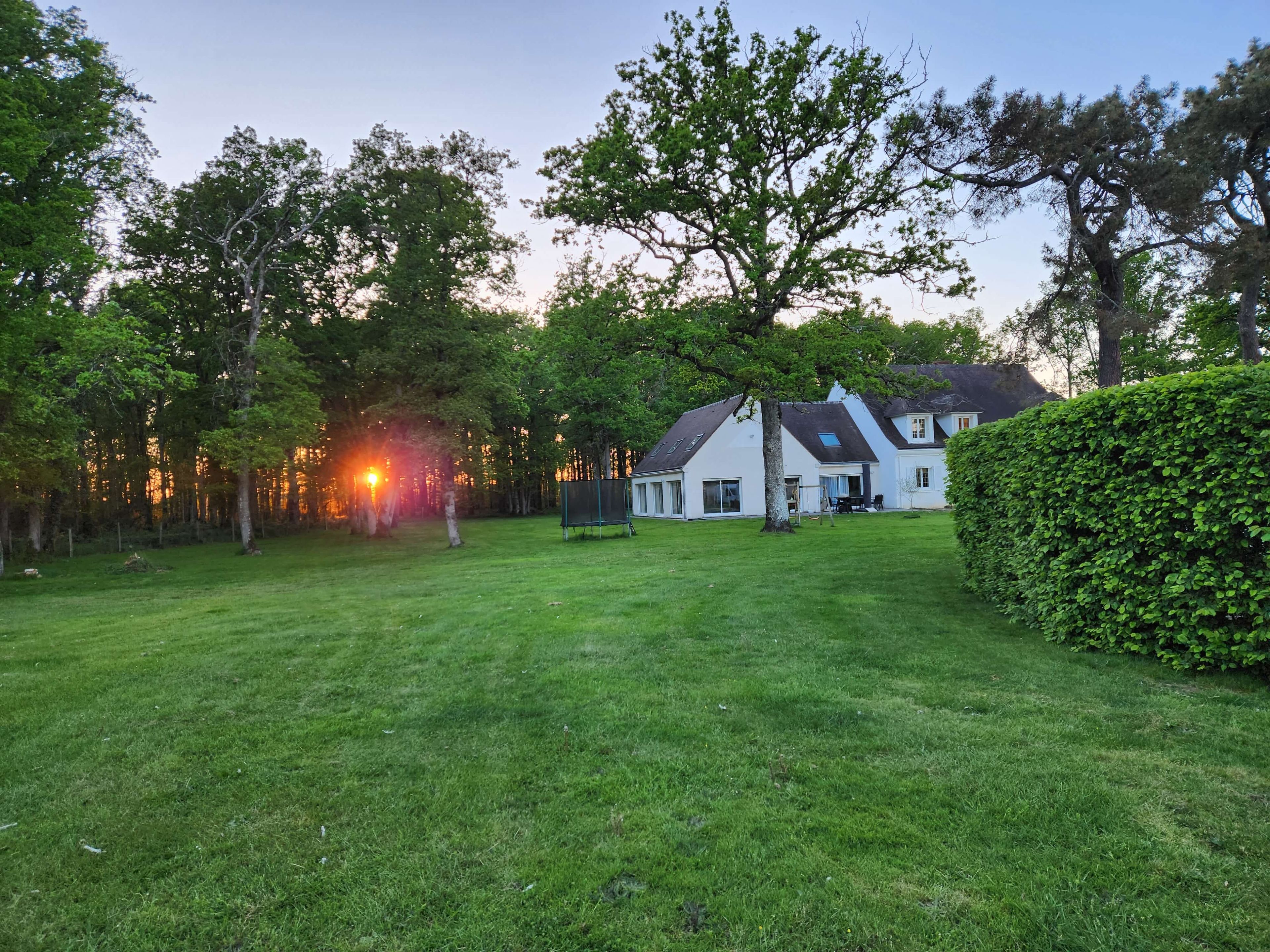 A residential property with a well-maintained lawn, a large tree, and a house with a sloped roof.