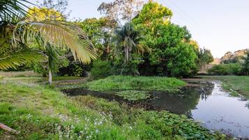 A natural landscape with a pond, greenery, and trees.