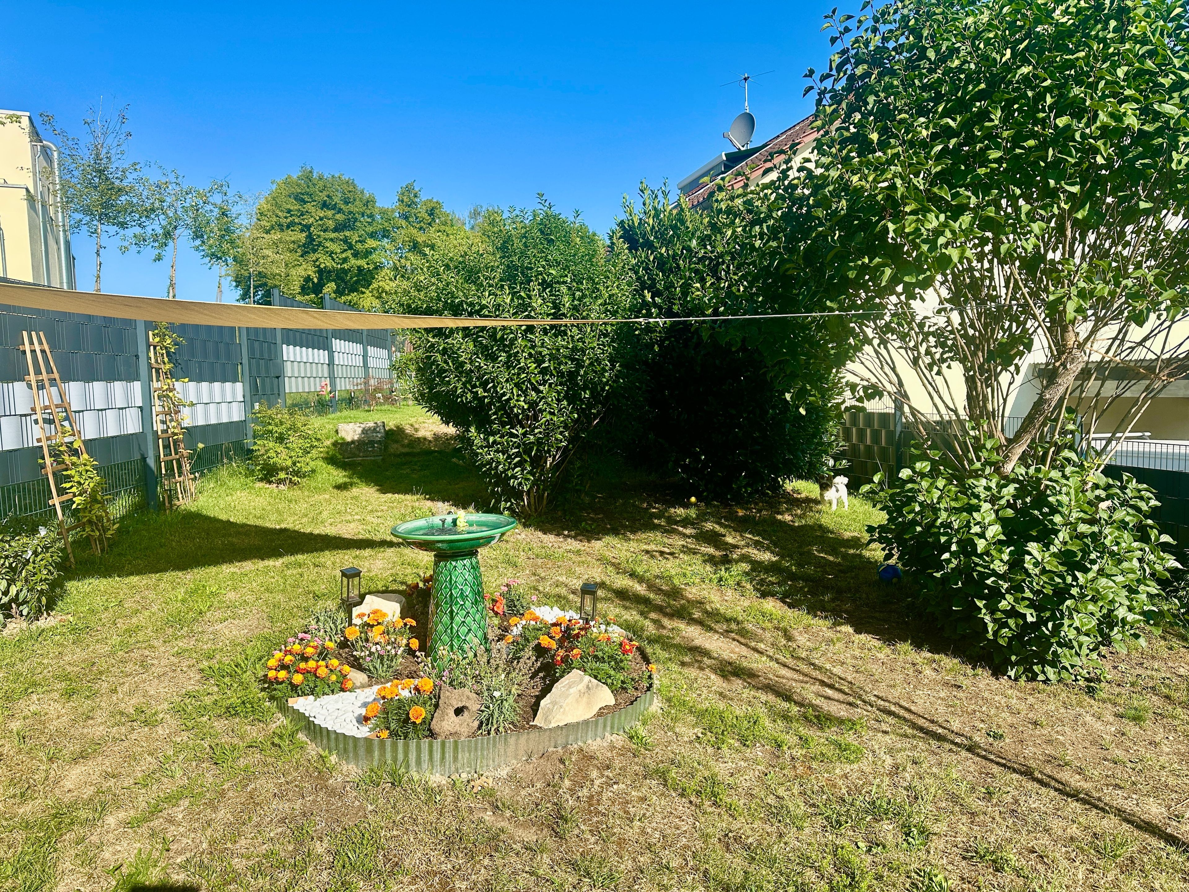 Un jardin avec un abreuvoir à oiseaux, des fleurs et une échelle appuyée contre un mur.