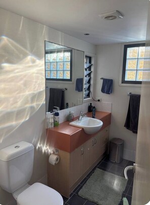 A modern bathroom with a toilet, sink, mirror, and two windows. - Spacious, Stylish & Quite Greenslopes Apartment close to Hospitals & the City (Greenslopes)