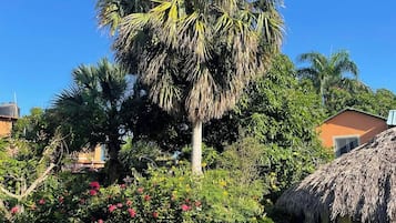 A tropical garden with a palm tree, flowering bushes, and a thatched-roof structure.