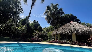 A clear blue pool with a floating ring, surrounded by palm trees and a thatched-roof structure.