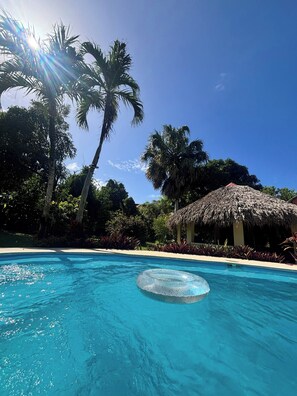 A clear blue pool with a floating ring, surrounded by palm trees and a thatched-roof structure. - Casa Baldoria Tropical Escape (Cabrera)