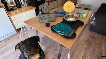 Ein Küchenbereich mit einem Holztisch, einem Hund und diversen Küchenutensilien.