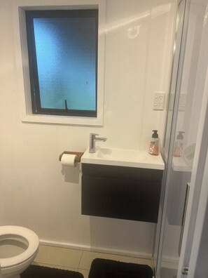 Een badkamer met toilet, wastafel, raam en douche.