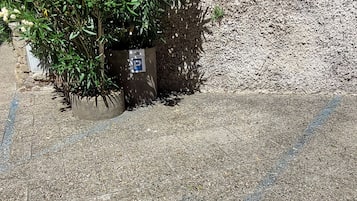 Ett belagt område med en skugga av en person, en växt med rosa blommor och en mur av grus.