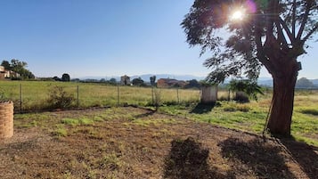 Un espacio al aire libre cercado con una estructura de ladrillo, un árbol y una vista despejada de edificios lejanos.