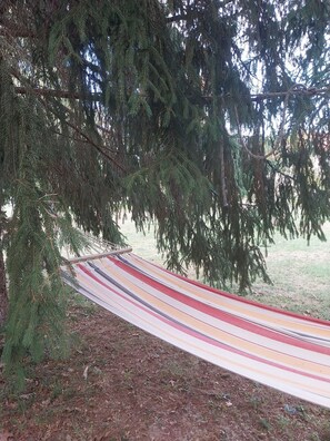 Un hamac suspendu sous un arbre, entouré d’herbe et de branches de pin.