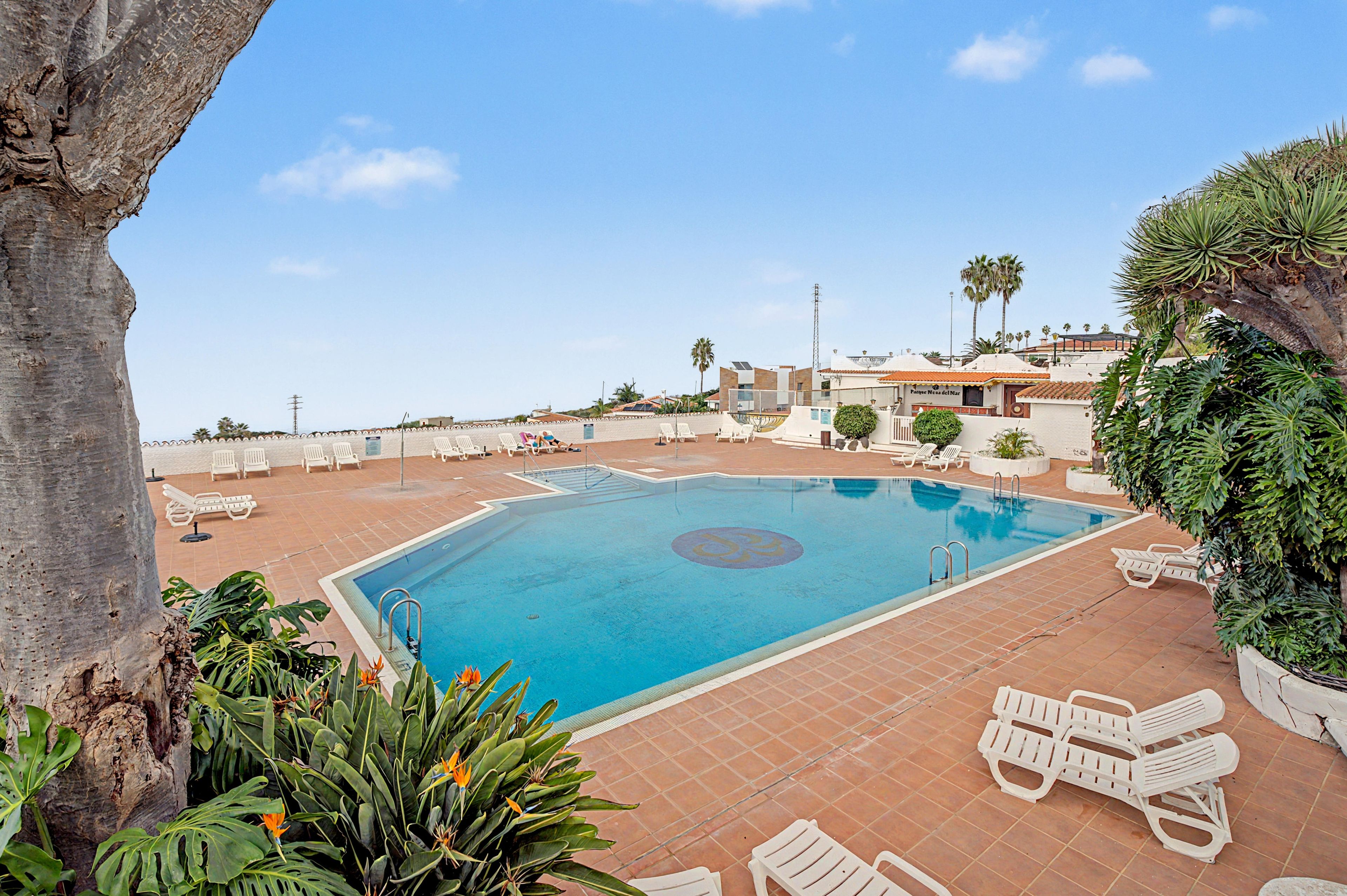 A swimming pool with a tiled deck, surrounded by lounge chairs and palm trees.