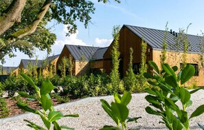 House - Cozy home in Lawica with sauna (Lawica)