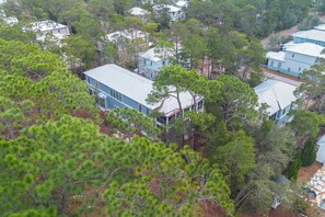A residential area with multiple houses surrounded by dense pine trees. - 🏖️ Caspian Blue Cottage | Beach Access, Pool, Bikes & Screened Porches 🚲 (Inlet Beach)